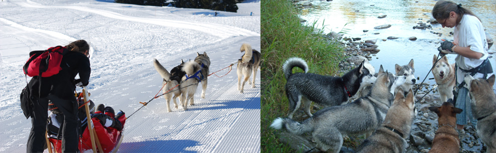 promenade_chien_traineau_annecy_74_station_photo12